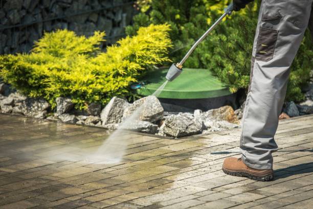 Trusted Forestdale, MA Pressure Washing Experts